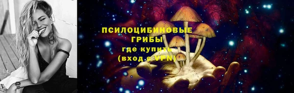 дживик Снежногорск