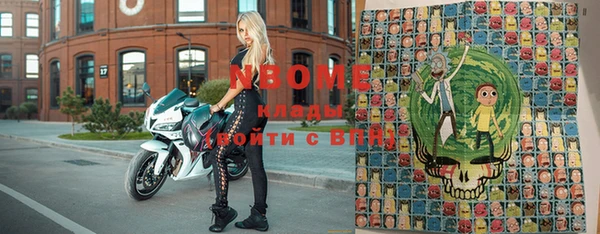 дживик Снежногорск