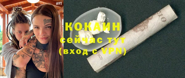 дживик Снежногорск