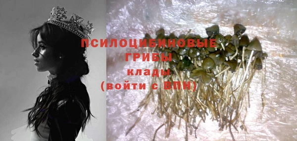 спиды Слюдянка