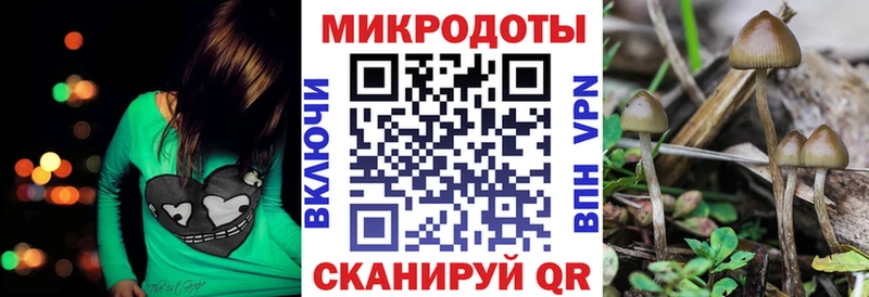 Псилоцибиновые грибы Psilocybine cubensis  Купить где  Киренск 